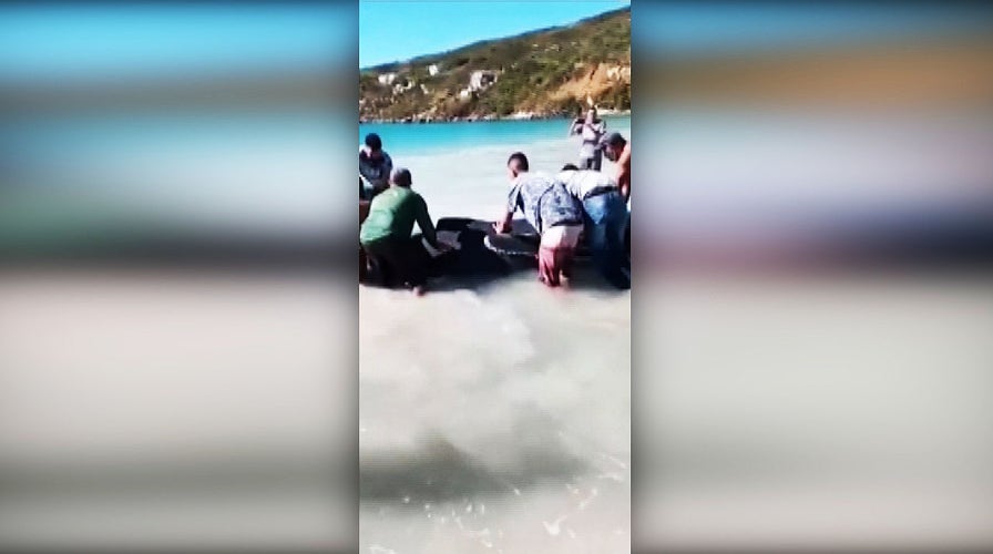 Stranded humpback whale calf rescued at well-known tourist beach in Rio de Janeiro