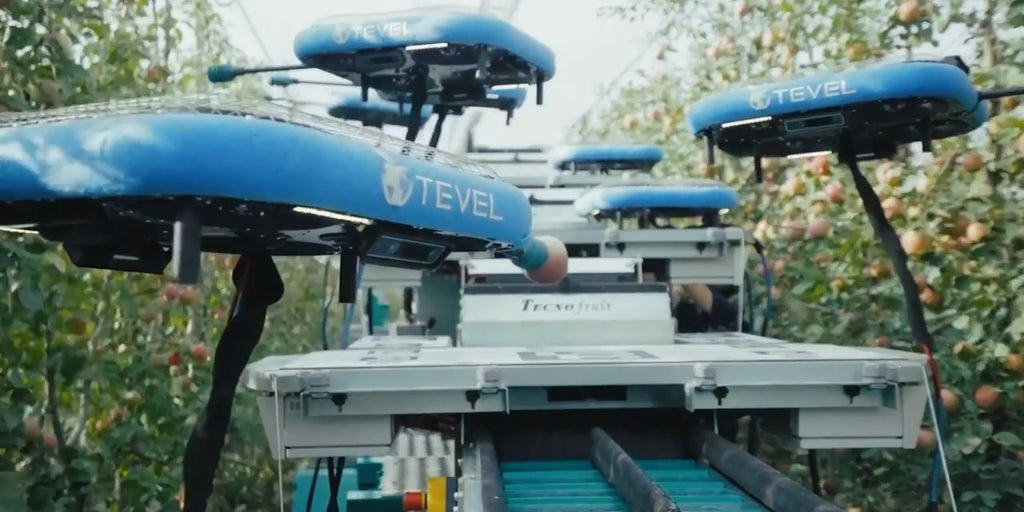 'CyberGuy': Robotic and drone tech make fruit picking and handling easier