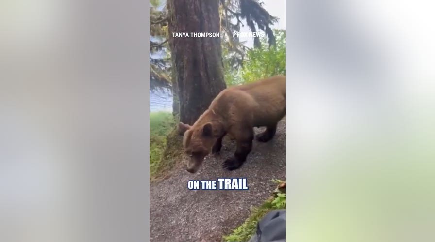 Hikers recount SCARY grizzly encounter on Alaska trail