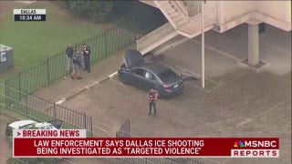 MSNBC reporter says ICE agents masking up, using unmarked cars created fear, division ahead of shooting