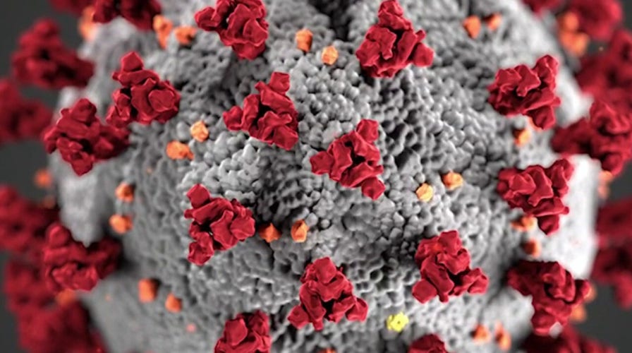 If you get COVID-19 and recover, will you be able to catch it again?