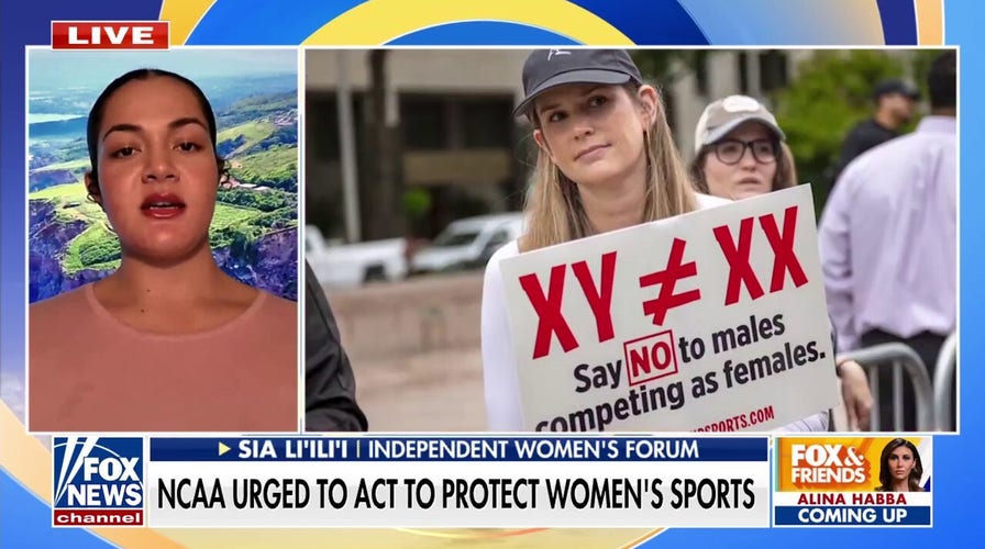 Volleyball players enter transfer portal after trans teammate controversy: 'Title IX is in danger right now'