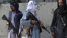 Jack Carr: US hubris in Afghanistan – here's the price we paid for not learning lessons of history