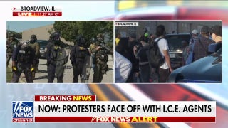 Protestors face off with Illinois ICE agents