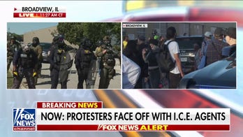 Protestors face off with Illinois ICE agents