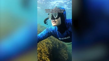 Man goes diving to fulfill pregnant wife's sea urchin craving