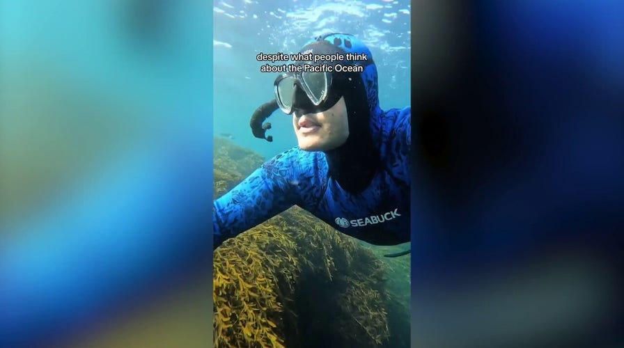 Man goes diving to fulfill pregnant wife's sea urchin craving