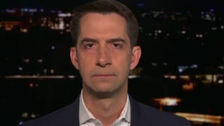 Tom Cotton: It is time to 'lower the boom' on China