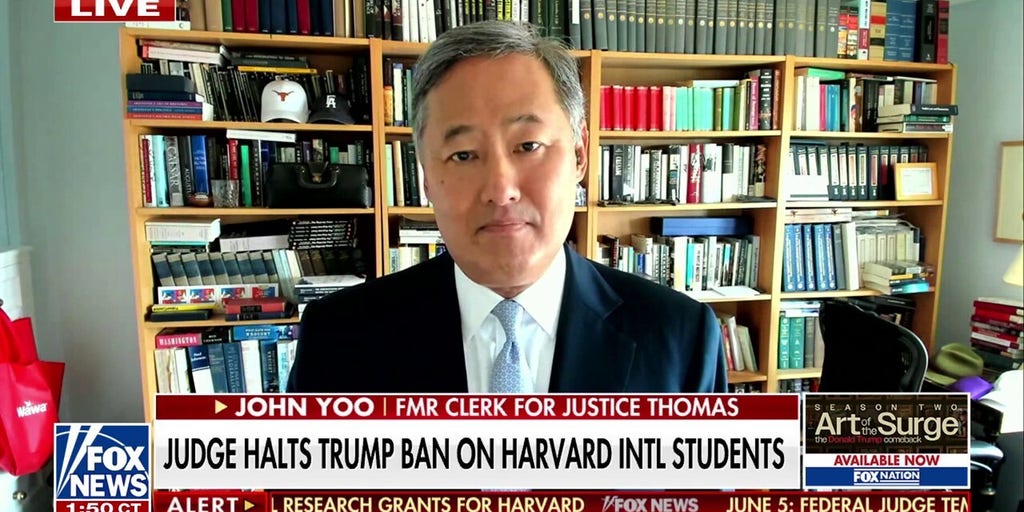 Immigration fight with Trump is a ‘dangerous gamble’ for Harvard, says John Yoo
