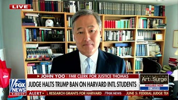 Immigration fight with Trump is a ‘dangerous gamble’ for Harvard, says John Yoo