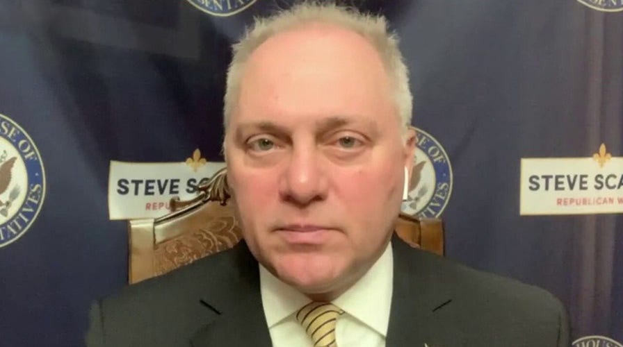 Rep. Scalise: Unbelievable that mayors will sit and watch their cities burn