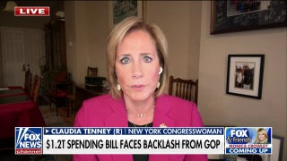 Rep. Claudia Tenney on what a potential government shutdown would look like: 'It concerns me' - Fox News