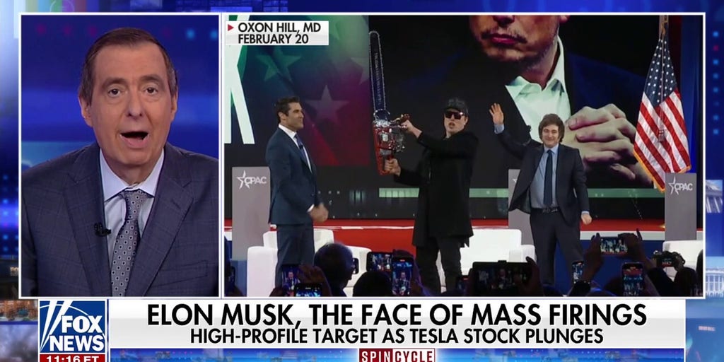 Elon is Trump's 'heat shield' against government cuts, Democratic strategist says | Fox News Video