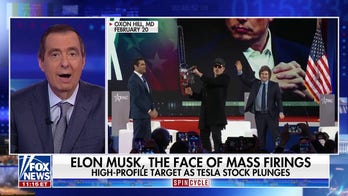 Elon is Trump's 'heat shield' against government cuts, Democratic strategist says
