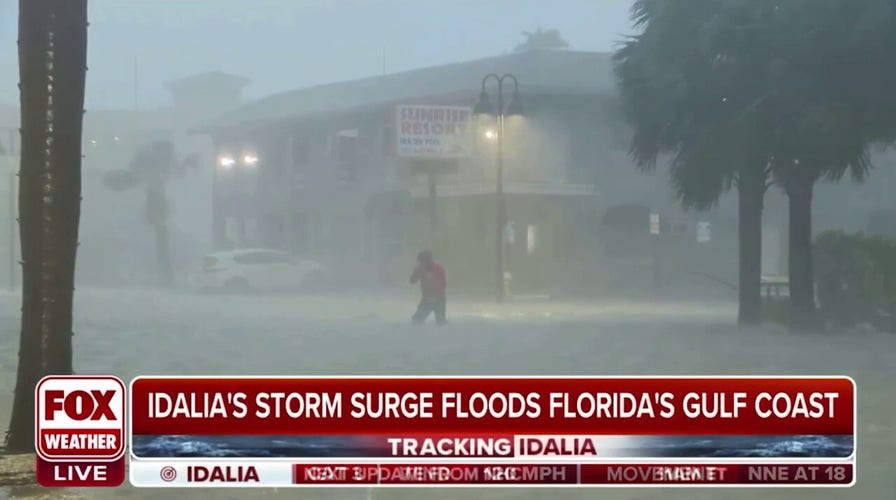 FOX Weather's Robert Ray hit with strong winds, flooding during Hurricane Idalia report