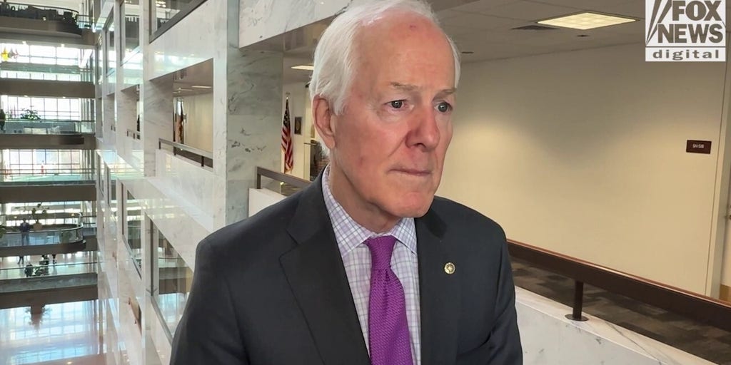 Texas Showdown: Sen John Cornyn says only he can win big next November, GOP rivals ‘flawed’