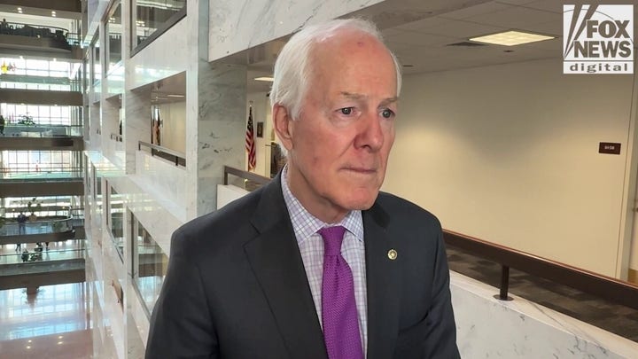 Texas Showdown: Sen John Cornyn says only he can win big next November, GOP rivals ‘flawed’
