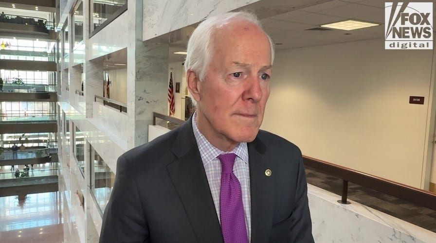 Texas Showdown: Sen John Cornyn says only he can win big next November, GOP rivals ‘flawed’