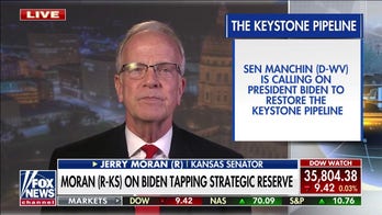 Tapping into Strategic Petroleum Reserve a 'Band-Aid': Moran