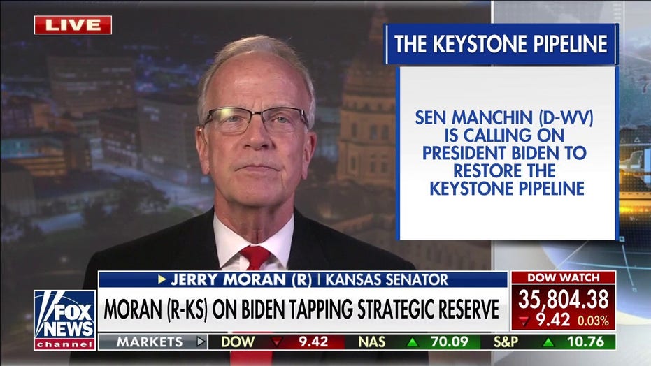 Tapping into strategic petroleum reserve a 'Band-Aid': Moran