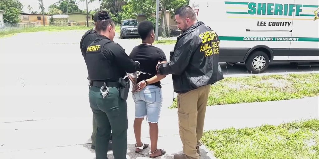 Lee County Sheriff's Office deputies arrest pet owner after dog found