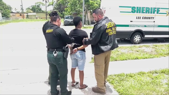 Lee County Sheriff's Office deputies arrest pet owner after dog found dead