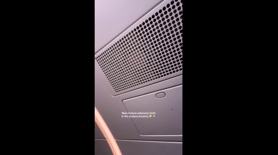 Flight attendant reveals airplane toilets now play birdsongs to muffle awkward sounds