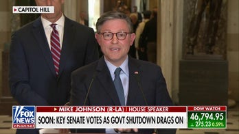 Speaker Johnson criticizes Dems' 'political antics' as government shutdown drags on