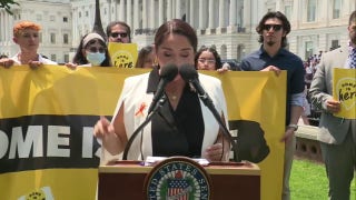 Democrat accuses Trump of unleashing ‘campaign of terror’ on illegals as L.A. riots rage