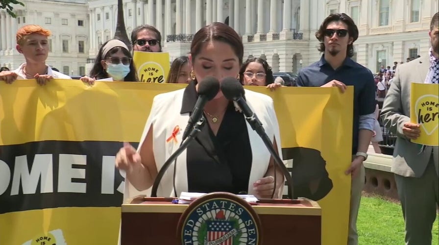 Democrat accuses Trump of unleashing ‘campaign of terror’ on illegals as LA riots rage