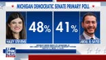 Michigan Democratic Senate primary race divides party