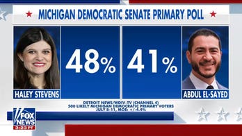 Michigan Democratic Senate primary race divides party