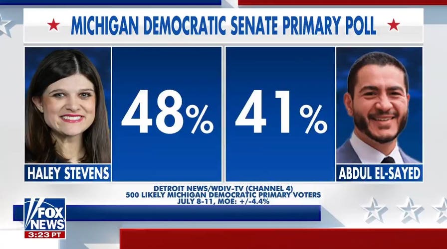 Michigan Democratic Senate primary race divides party