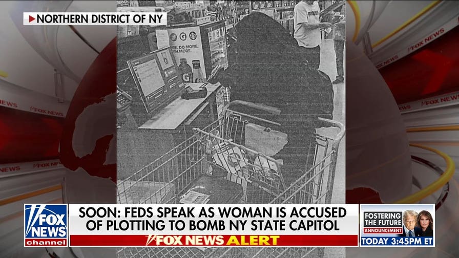 Albany woman charged in alleged plot to bomb New York State Capitol