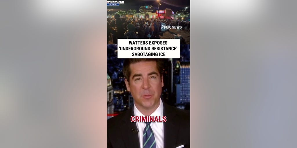 Watters EXPOSES 'underground resistance' SABOTAGING ICE