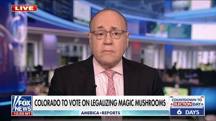 Colorado voters to decide whether to legalize magic mushrooms
