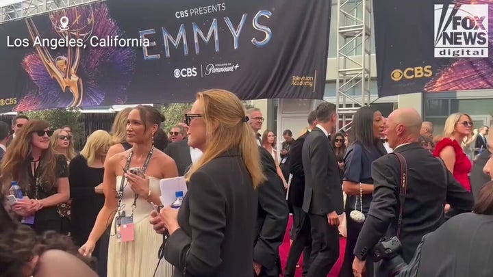 Harrison Ford on the red carpet at the 77th Emmy Awards