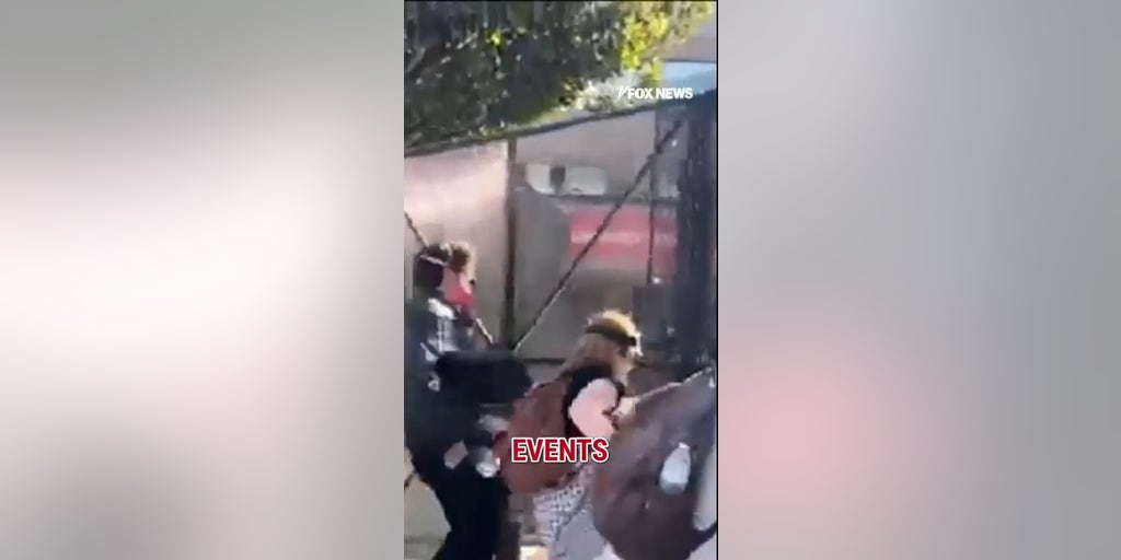 SHOCKING graffiti EXPOSED at No Kings protest