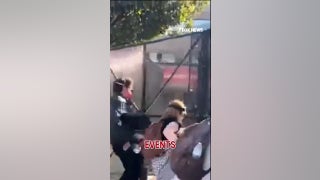 SHOCKING graffiti EXPOSED at No Kings protest