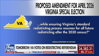 Lara Trump: This is a 'naked power grab'