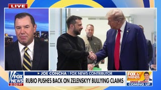 Rubio pushes back on Zelenskyy bullying claims ahead of WH meeting: 'Stupid media narrative'
