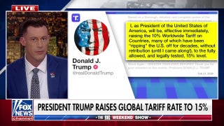 Democrats ‘oppose’ tariffs because they ‘have to’ oppose Trump, Tomi Lahren says