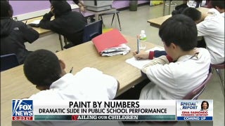 Students struggle to meet proficiency standards across US public schools - Fox News