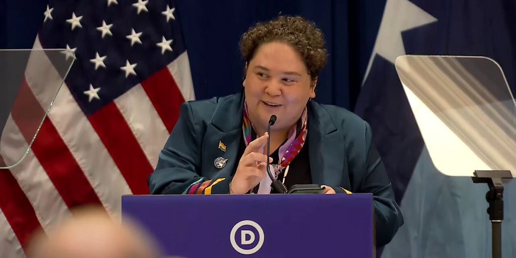 DNC opens summer meeting with land acknowledgement, claims that US suppresses indigenous history