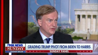Kamala Harris has ‘brought home’ soft Democrats: Michael Allen - Fox News