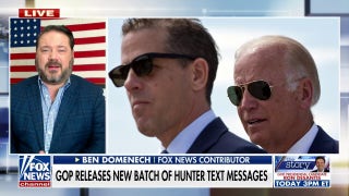 DOJ wants America to believe Hunter Biden acted alone: Ben Domenech  - Fox News