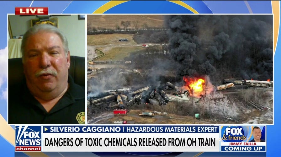 Ohio residents fear train derailment poisoned air, ground, report animals  dying | Fox News