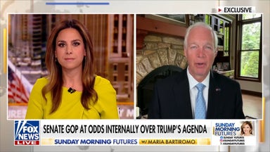 Sen Johnson accuses Dems of 'sabotaging' Republican efforts to fund ICE, CBP