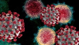 How complicit is the WHO in China’s coronavirus cover-up?