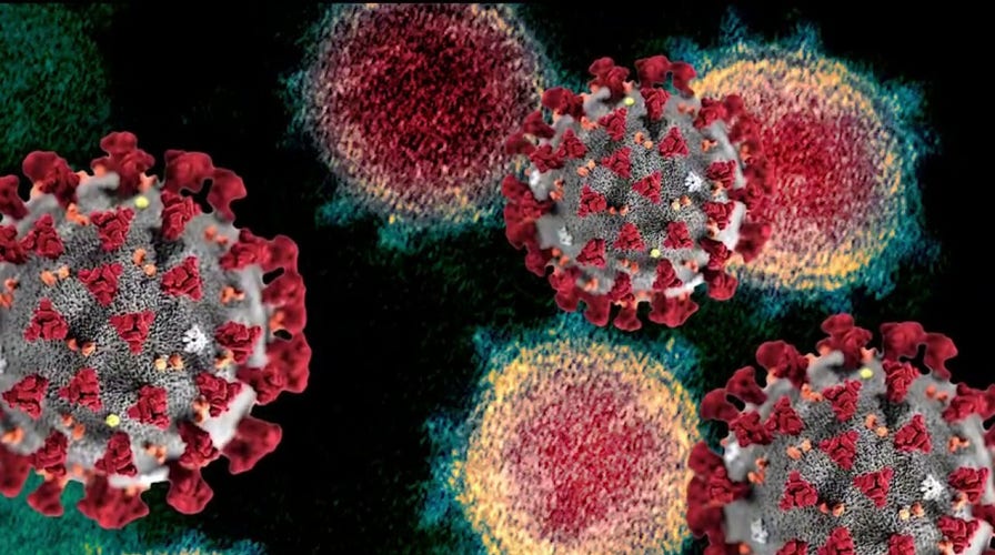 US mounting probe into Chinese lab, coronavirus origins